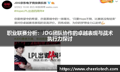 职业联赛分析：JDG团队协作的卓越表现与战术执行力探讨